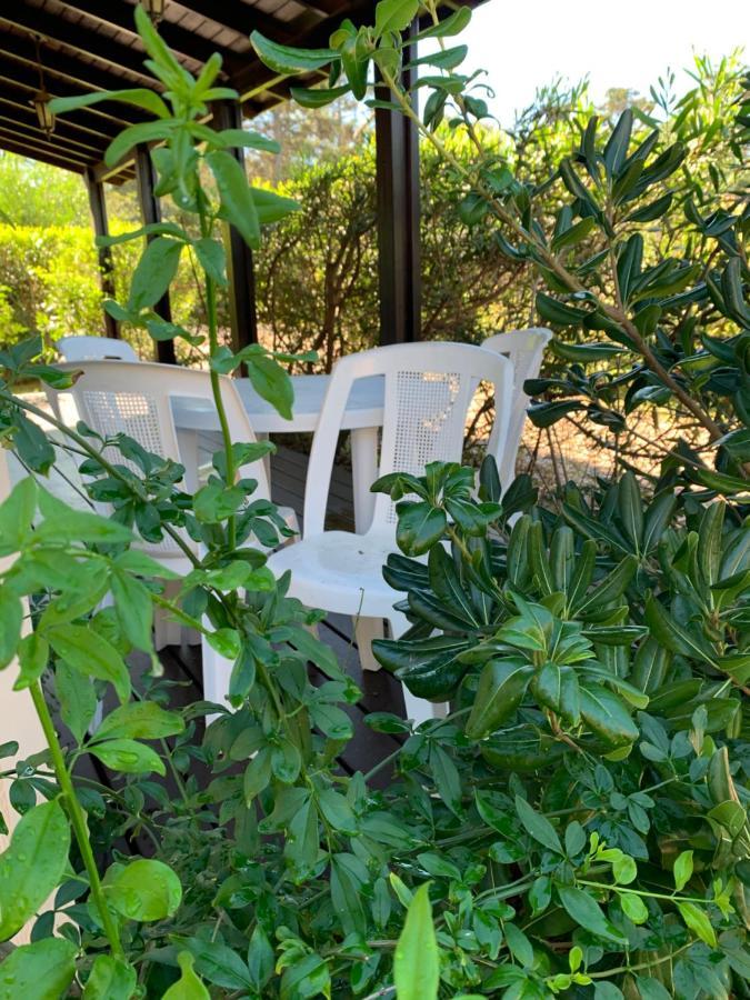 Cabanas Del Este Sauce de Portezuelo Eksteriør bilde